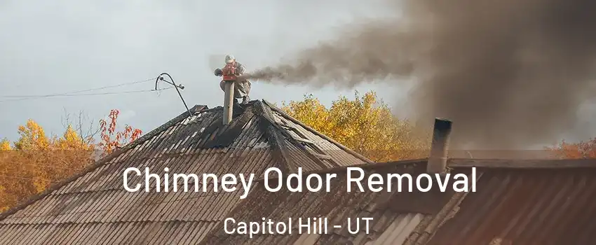 Chimney Odor Removal Capitol Hill - UT