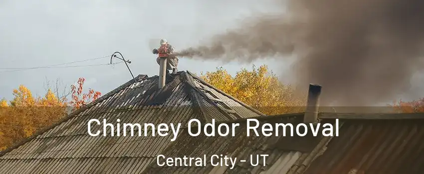 Chimney Odor Removal Central City - UT