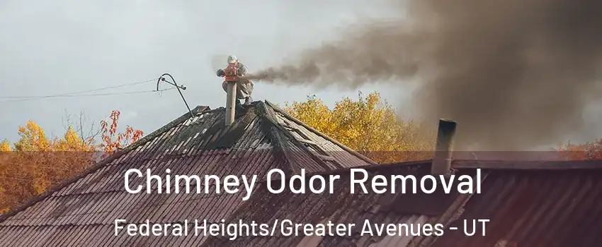 Chimney Odor Removal Federal Heights/Greater Avenues - UT