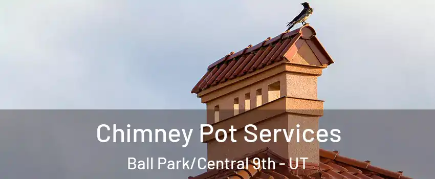 Chimney Pot Services Ball Park/Central 9th - UT