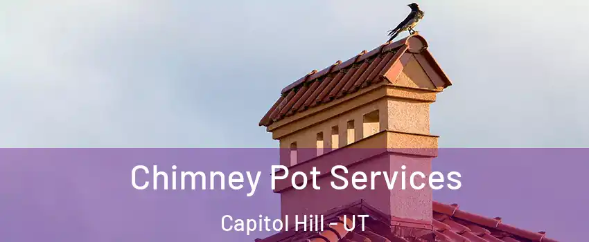 Chimney Pot Services Capitol Hill - UT