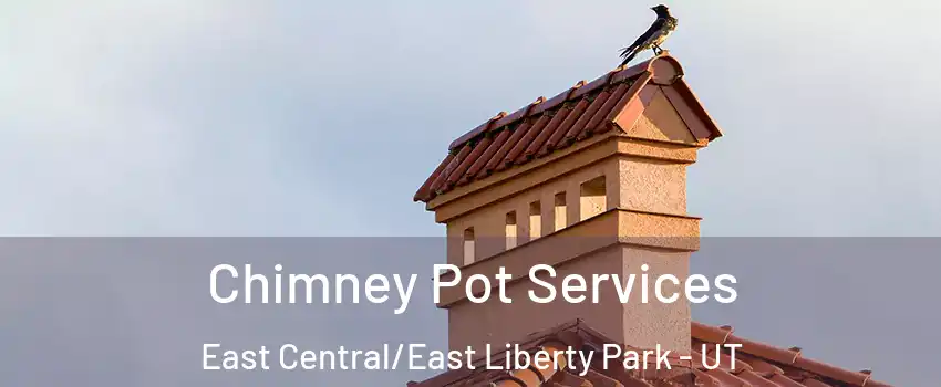 Chimney Pot Services East Central/East Liberty Park - UT