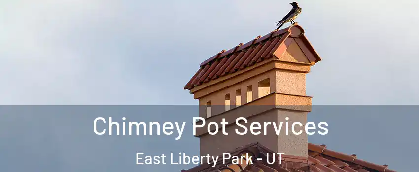 Chimney Pot Services East Liberty Park - UT