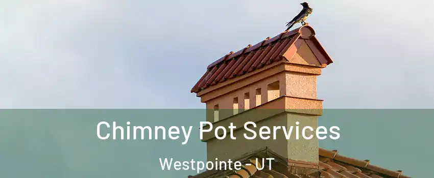Chimney Pot Services Westpointe - UT