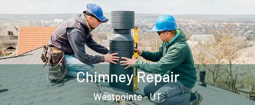 Chimney Repair Westpointe - UT