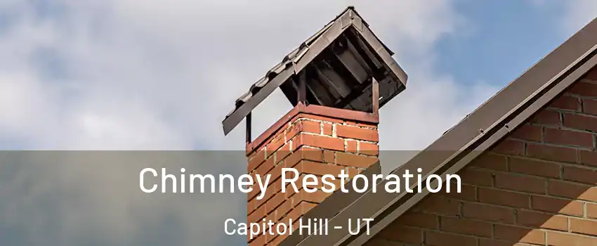 Chimney Restoration Capitol Hill - UT