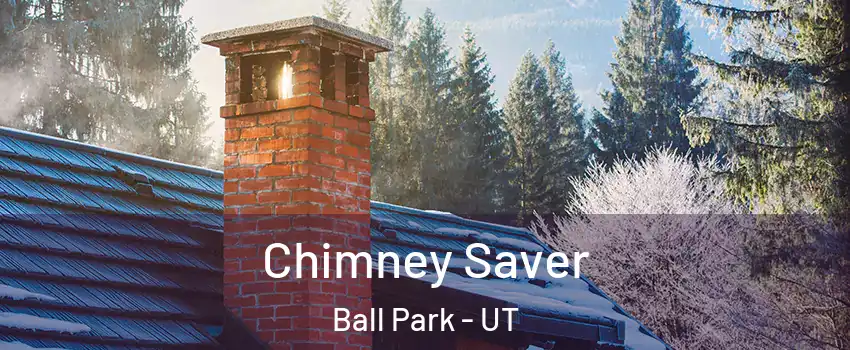 Chimney Saver Ball Park - UT