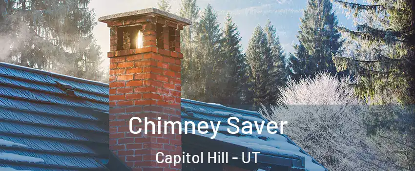 Chimney Saver Capitol Hill - UT