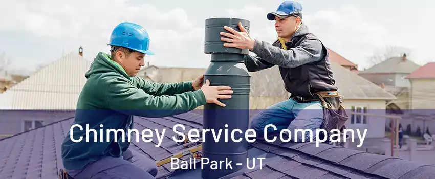 Chimney Service Company Ball Park - UT