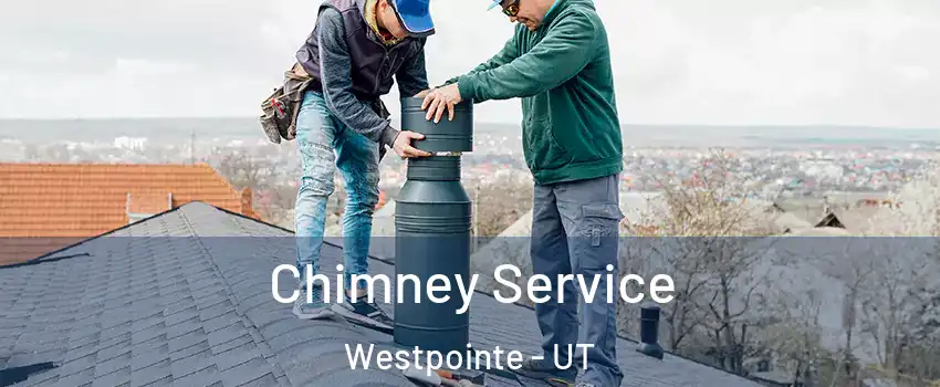 Chimney Service Westpointe - UT