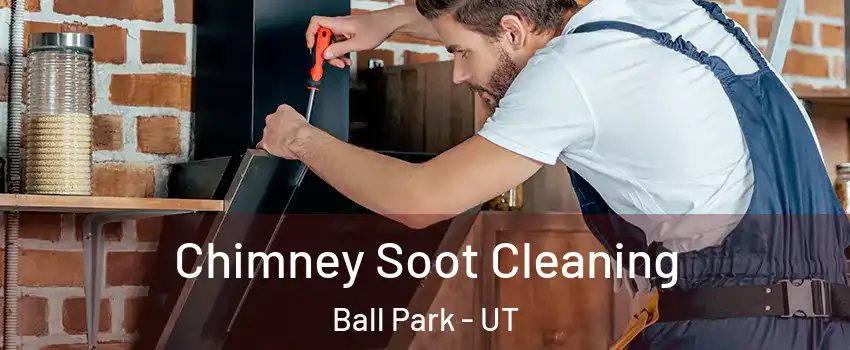 Chimney Soot Cleaning Ball Park - UT