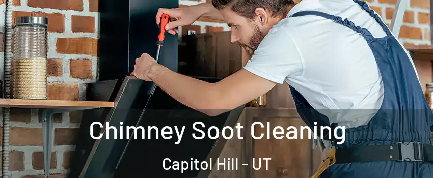 Chimney Soot Cleaning Capitol Hill - UT