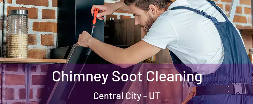 Chimney Soot Cleaning Central City - UT