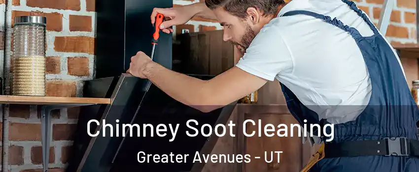 Chimney Soot Cleaning Greater Avenues - UT