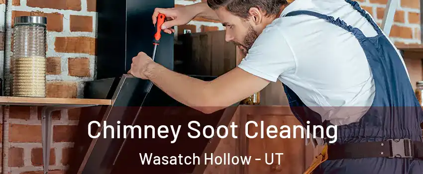 Chimney Soot Cleaning Wasatch Hollow - UT