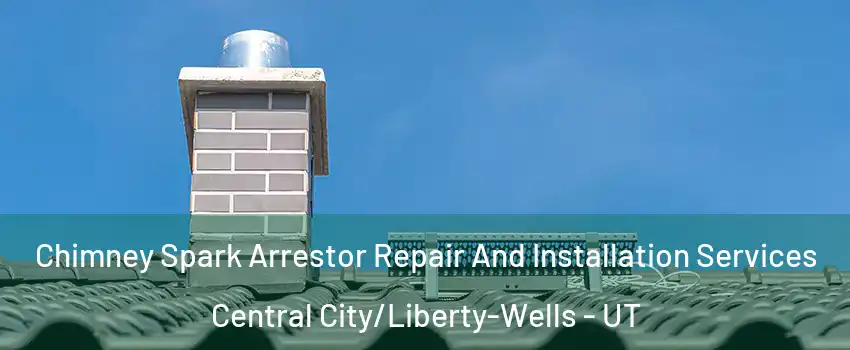 Chimney Spark Arrestor Repair And Installation Services Central City/Liberty-Wells - UT