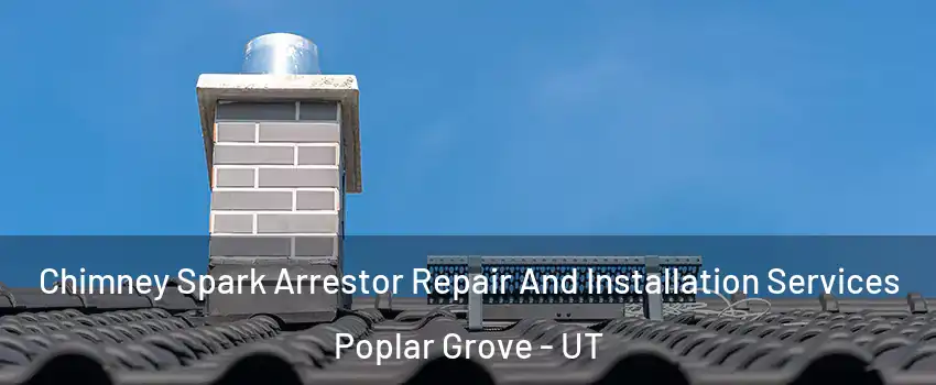 Chimney Spark Arrestor Repair And Installation Services Poplar Grove - UT