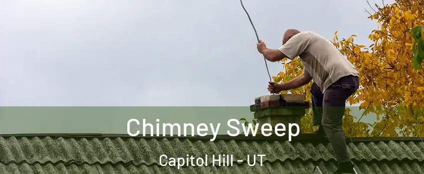 Chimney Sweep Capitol Hill - UT