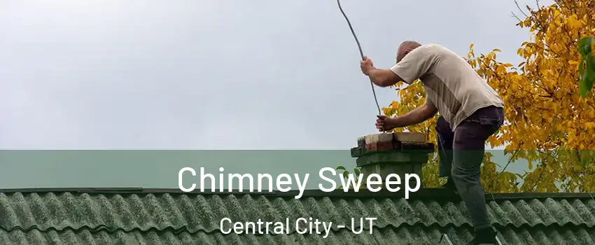 Chimney Sweep Central City - UT