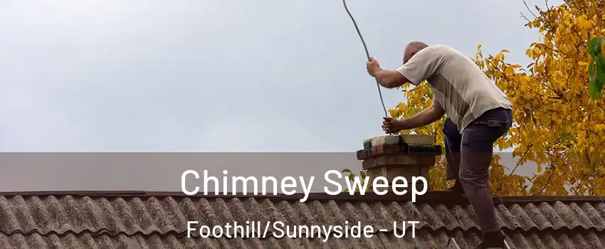 Chimney Sweep Foothill/Sunnyside - UT