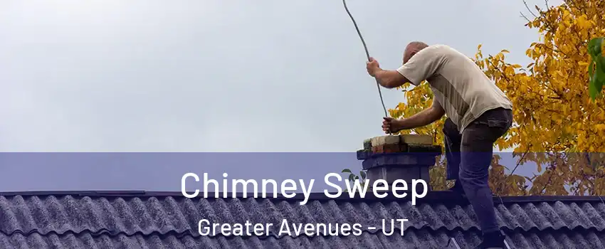 Chimney Sweep Greater Avenues - UT