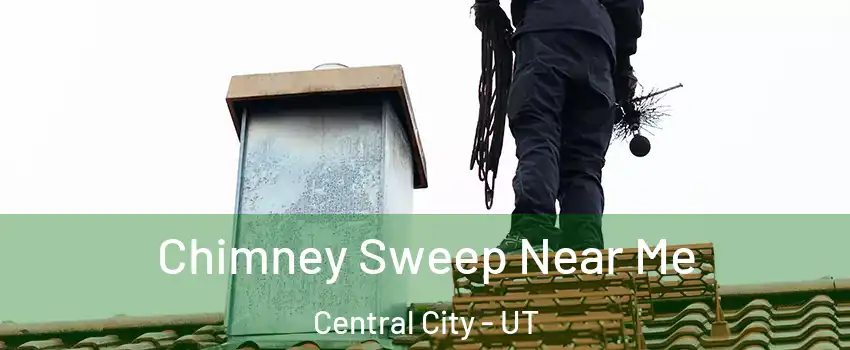 Chimney Sweep Near Me Central City - UT