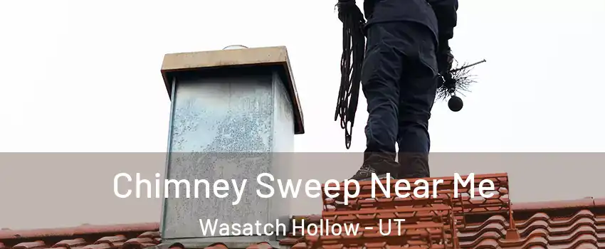 Chimney Sweep Near Me Wasatch Hollow - UT