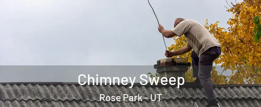 Chimney Sweep Rose Park - UT