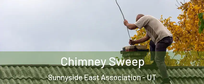 Chimney Sweep Sunnyside East Association - UT