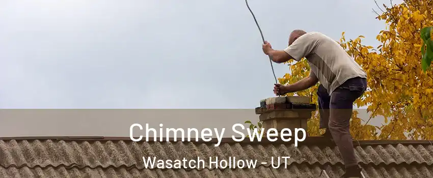 Chimney Sweep Wasatch Hollow - UT