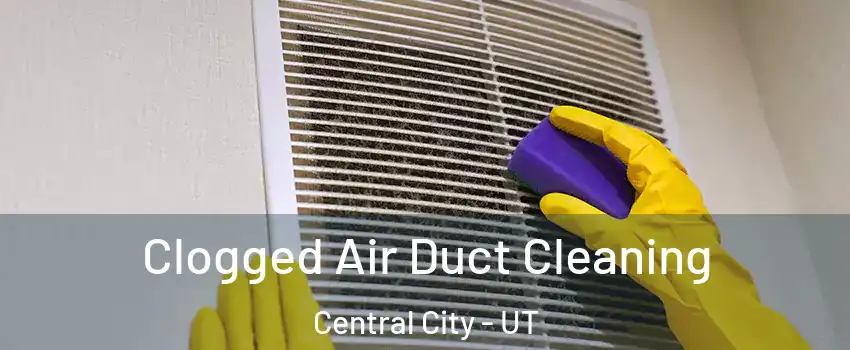 Clogged Air Duct Cleaning Central City - UT