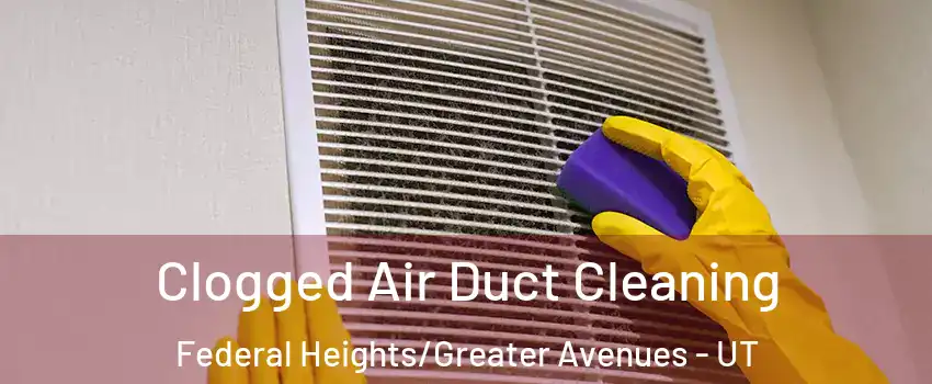 Clogged Air Duct Cleaning Federal Heights/Greater Avenues - UT