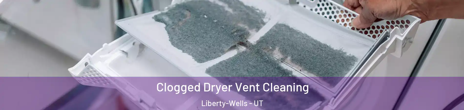 Clogged Dryer Vent Cleaning Liberty-Wells - UT