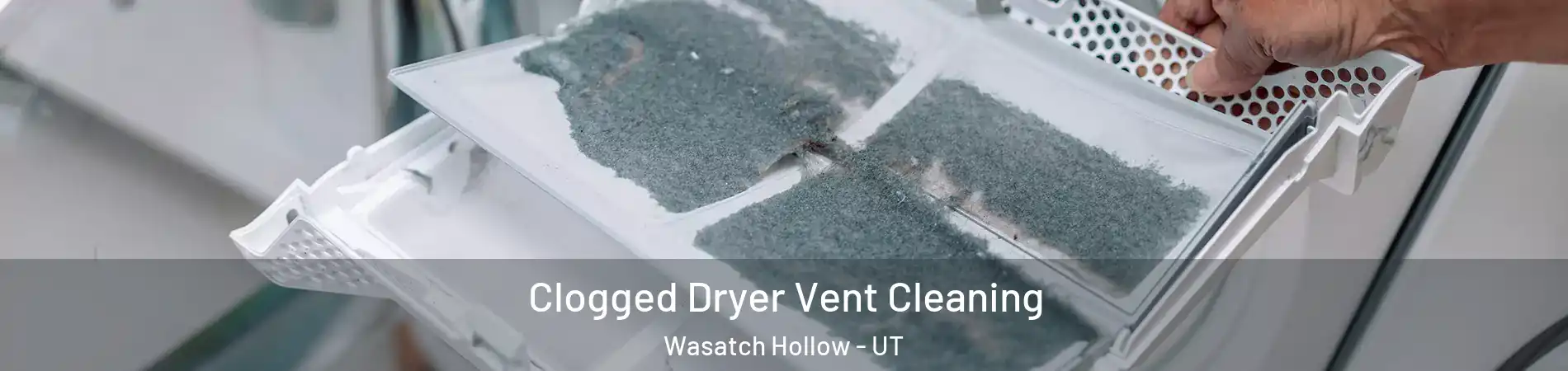 Clogged Dryer Vent Cleaning Wasatch Hollow - UT