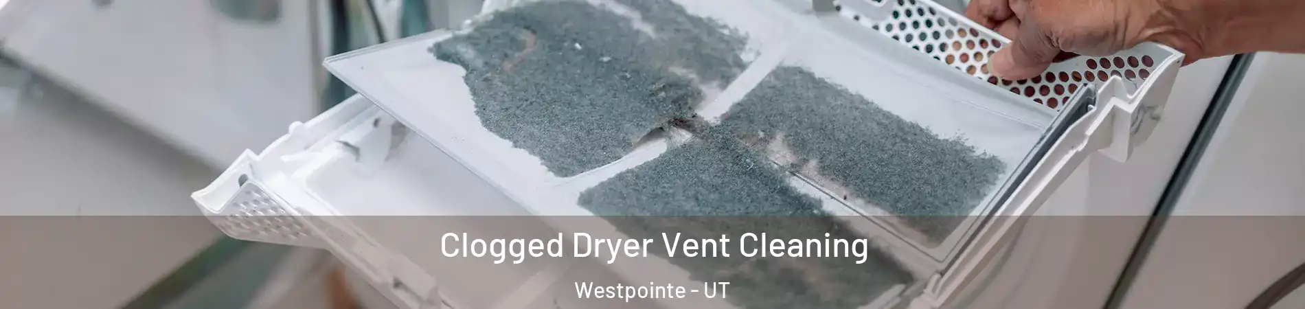 Clogged Dryer Vent Cleaning Westpointe - UT