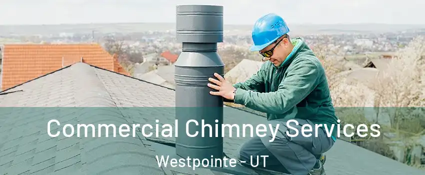 Commercial Chimney Services Westpointe - UT
