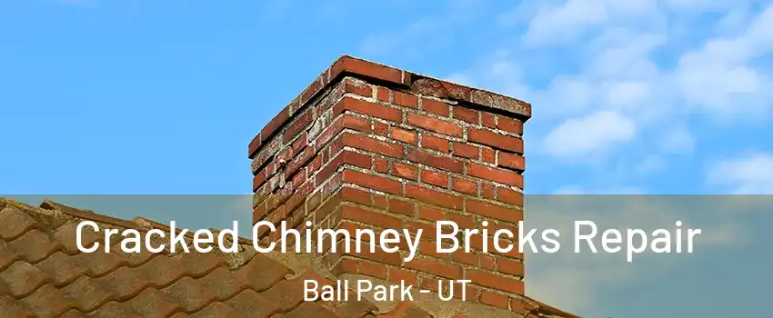 Cracked Chimney Bricks Repair Ball Park - UT