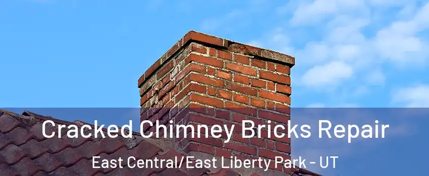 Cracked Chimney Bricks Repair East Central/East Liberty Park - UT