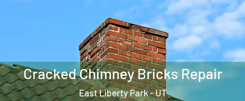 Cracked Chimney Bricks Repair East Liberty Park - UT
