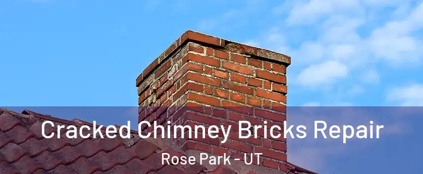 Cracked Chimney Bricks Repair Rose Park - UT