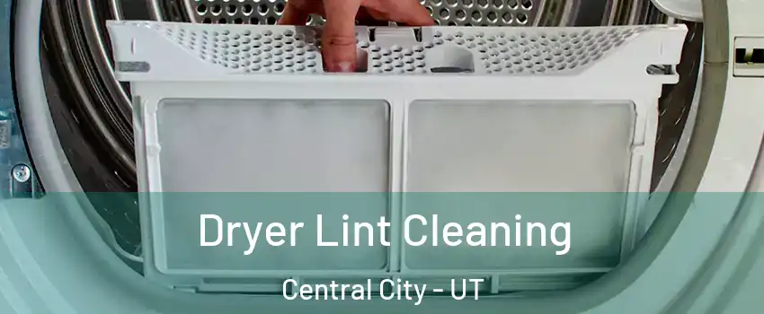 Dryer Lint Cleaning Central City - UT