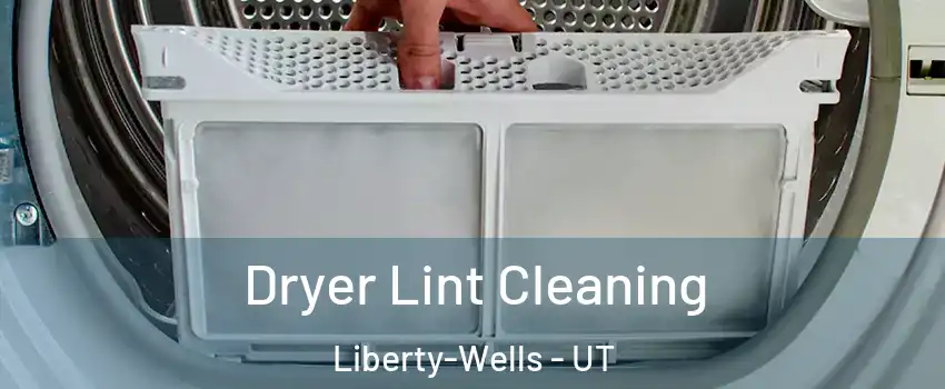 Dryer Lint Cleaning Liberty-Wells - UT