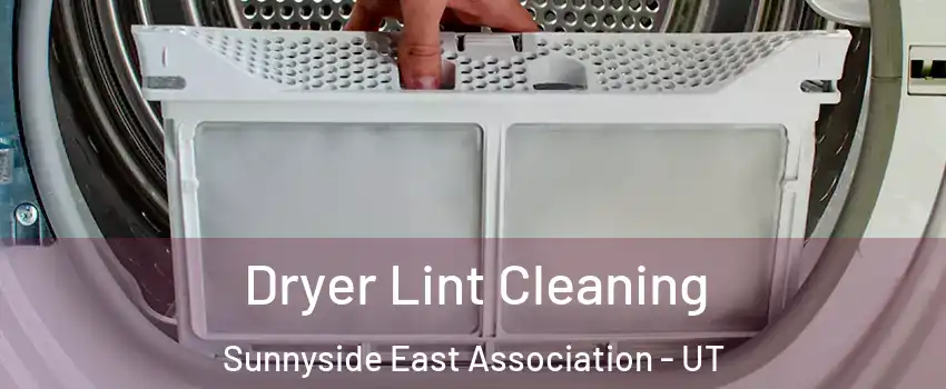 Dryer Lint Cleaning Sunnyside East Association - UT
