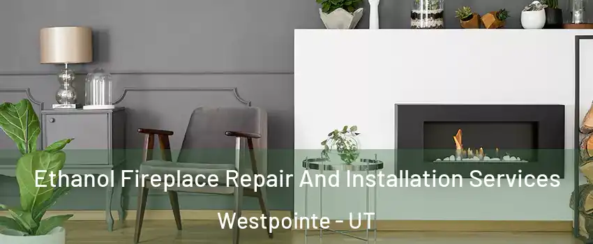 Ethanol Fireplace Repair And Installation Services Westpointe - UT
