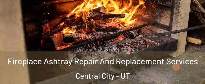 Fireplace Ashtray Repair And Replacement Services Central City - UT