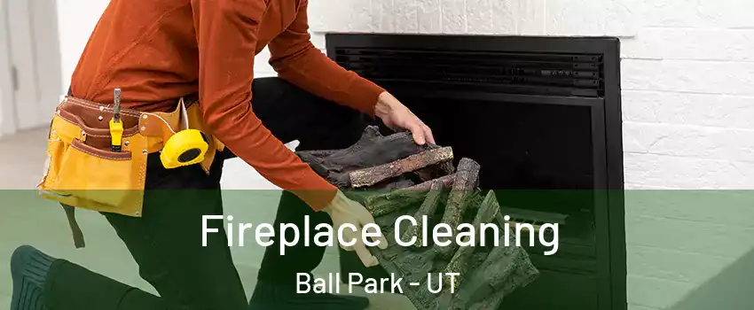 Fireplace Cleaning Ball Park - UT
