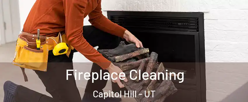 Fireplace Cleaning Capitol Hill - UT