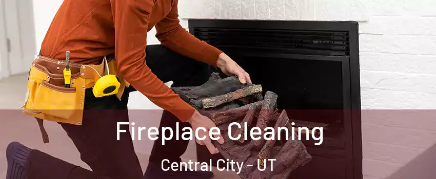 Fireplace Cleaning Central City - UT