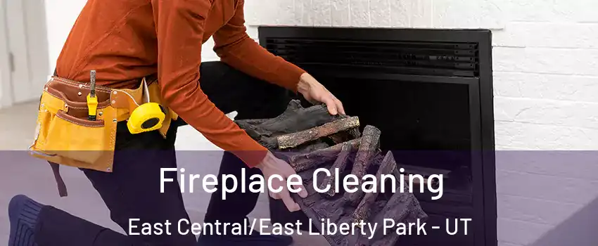 Fireplace Cleaning East Central/East Liberty Park - UT