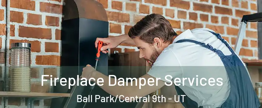 Fireplace Damper Services Ball Park/Central 9th - UT
